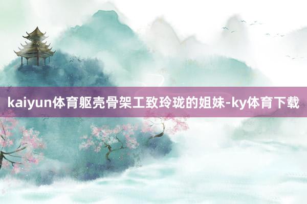 kaiyun体育躯壳骨架工致玲珑的姐妹-ky体育下载